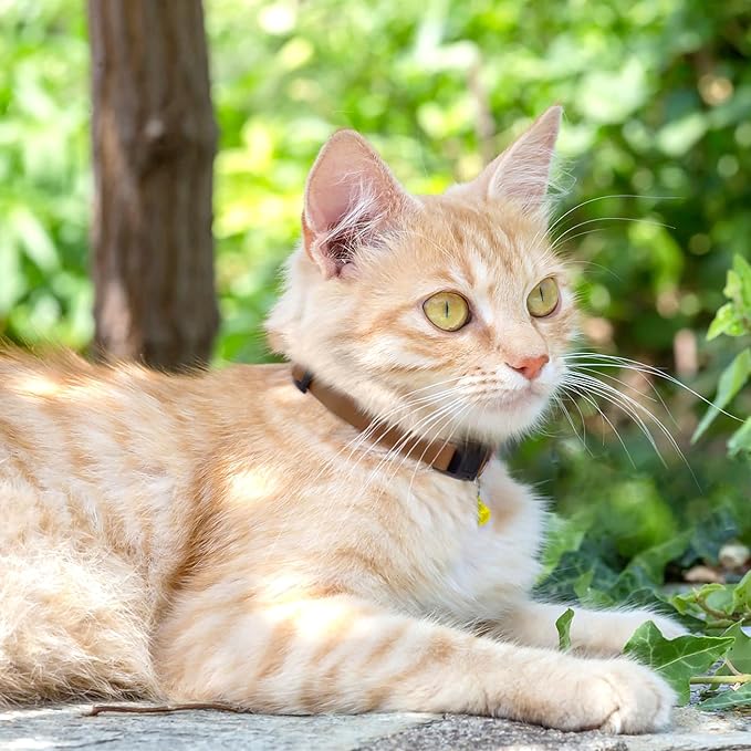 Breakaway Cat Collar with Bell - Leather Adjustable Kitten Collars with Safety Quick Release Buckle - Soft Small Pet Collars for Girl & Boy Cats (Brown)