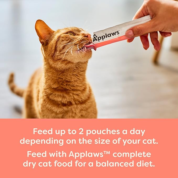 Applaws Lickable Cat Treats, Natural Grain-Free Purée, Made with Limited and Natural Ingredients, No Artificial Additives, Salmon Squeeze Up Cat Treats (60 x 0.5 oz Sachets)