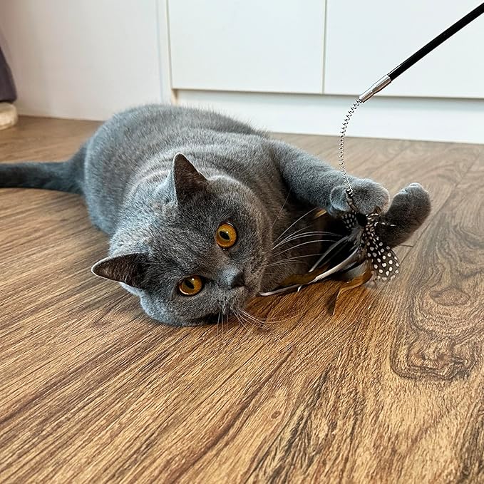 TTcat Cat Wand Toys,Flexible Spring and 4PCS Feather Refills,Feather Teaser Stick Cat Toys for Indoor Cats and Kittens.