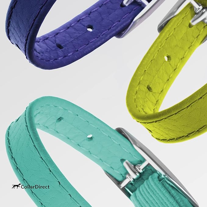 CollarDirect Leather Cat Collar, Cat Safety Collar with Elastic Strap, Kitten Collar for Cat with Bell Black Blue Red Orange Lime Green (Neck Fit 6&quot;-7&quot;, Mint Green)