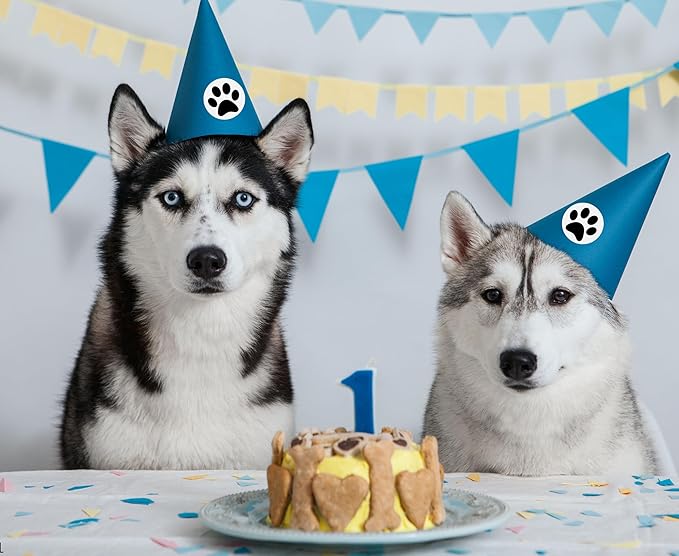 250 Paw Print Awareness Stickers - Fundraise for Animal Rights, Stop Abuse, Perfect for Pet Lovers, Businesses, Clinics, Labels, Scrapbooks