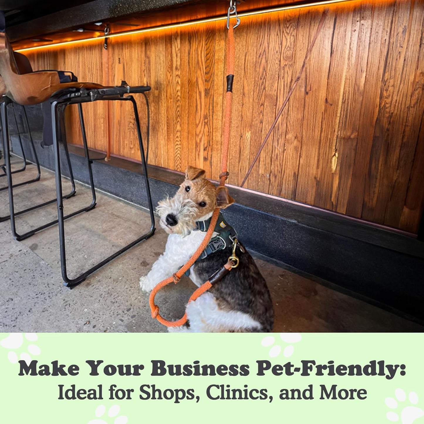 Canine Hitch- Secure Dog Leash Parking Indoor- Outdoor Wall Hook with Clip - Tie Out Stainless Steel - Practical Lead Management for Home & Business