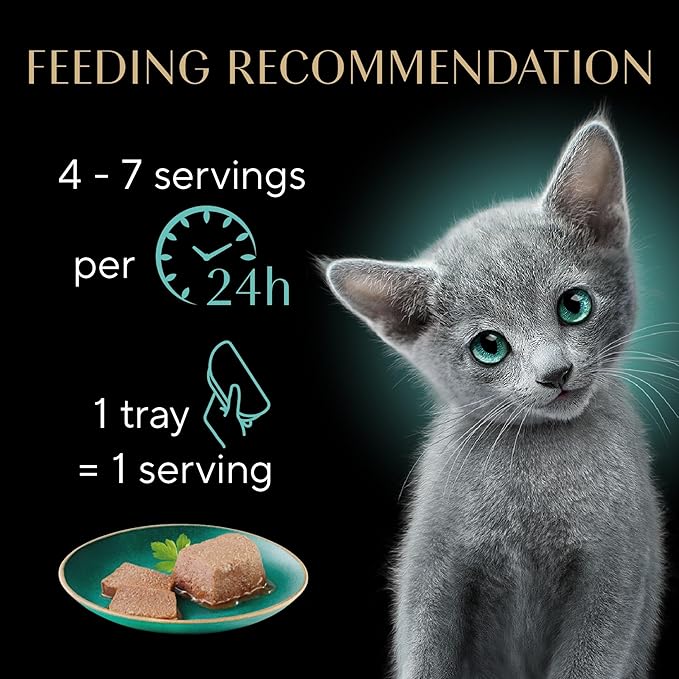 Sheba Perfect Portions Kitten Wet Cat Food Pate Chicken Entree and Salmon Entree, 2.6 oz. Twin-Pack Trays (12 Count, 24 Servings) (Pack of 2)