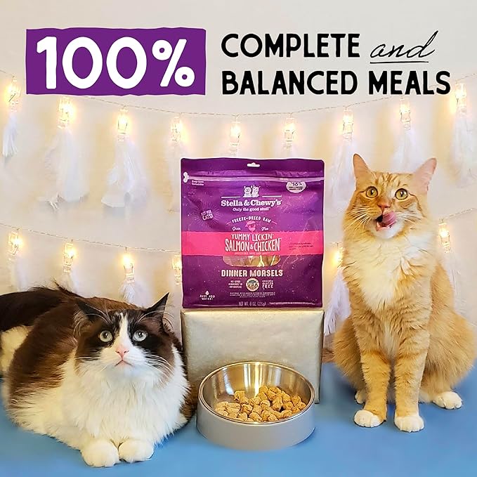 Stella & Chewy's Freeze-Dried Raw Cat Dinner Morsels - Premium Salmon & Chicken Recipe with 98% Wild-Caught & Cage-Free Protein - Natural Grain-Free Cat & Kitten Food - Made in USA - 1 oz