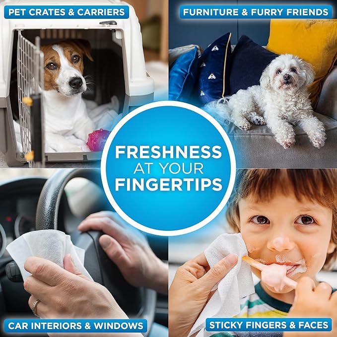 POOPH® Pure Wipes™ – 100 Count Pack – Gentle, Fast Odor-Elimination – NO Fragrances, NO Harsh Chemicals – Cleans Paws, Butt, Ears, Face, Fur – Perfect for Cars, Crates, All Surfaces