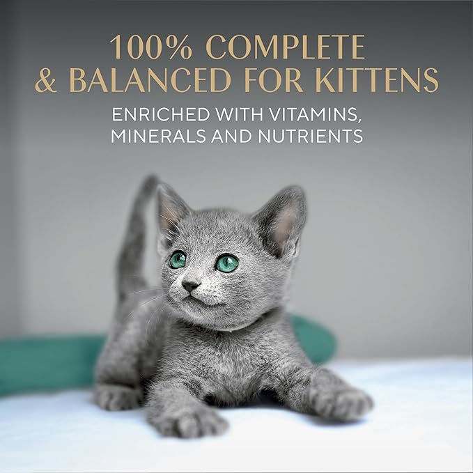 Sheba Perfect Portions Kitten Wet Cat Food Pate Chicken Entree and Salmon Entree, 2.6 oz. Twin-Pack Trays (12 Count, 24 Servings) (Pack of 2)