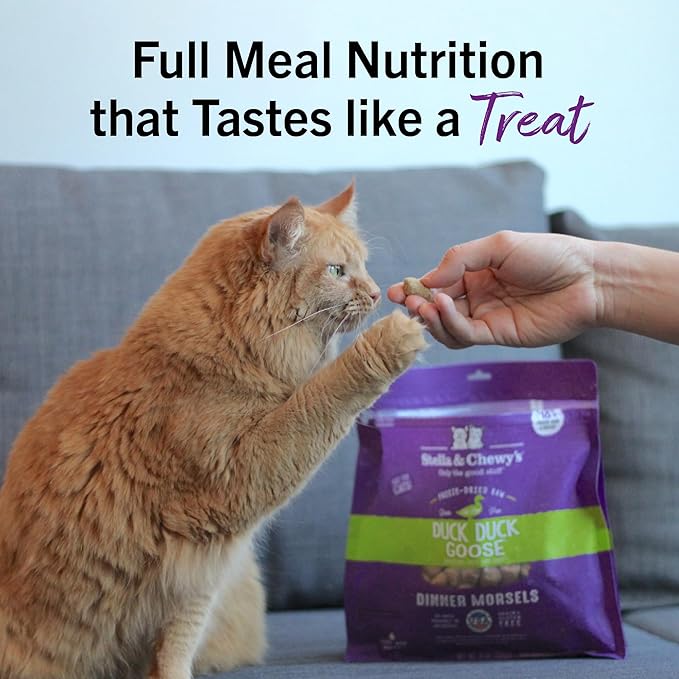 Stella & Chewy's Freeze-Dried Raw Cat Dinner Morsels - Premium Duck & Goose Recipe with 98% Cage-Free Poultry & Organs - Natural Grain-Free Cat & Kitten Food - Made in USA - 18 oz
