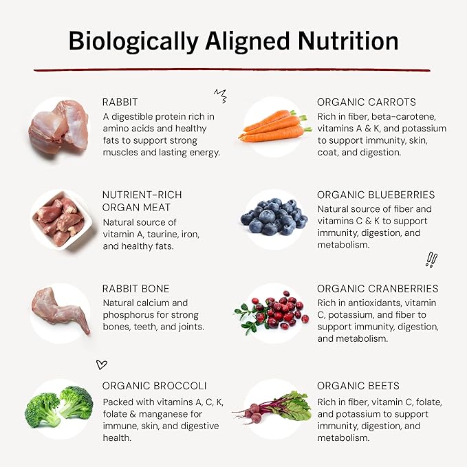 Stella & Chewy's Freeze-Dried Raw Dinner Patties - Absolutely Rabbit Recipe - High Protein Grain-Free Puppy & Dog Food - Perfect For Picky Eaters - 25 oz