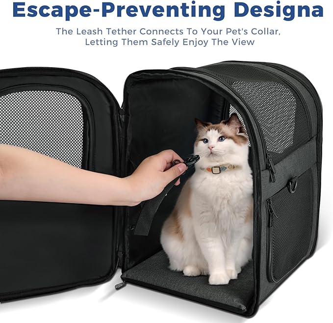 Apollo Walker Dog & Cat Carrier Backpack for 4-15lb Pets - Ventilated Safe Design with Padded Back Support, Breathable Mesh Pet Backpack for Hiking, Travel, Outdoor (Black)