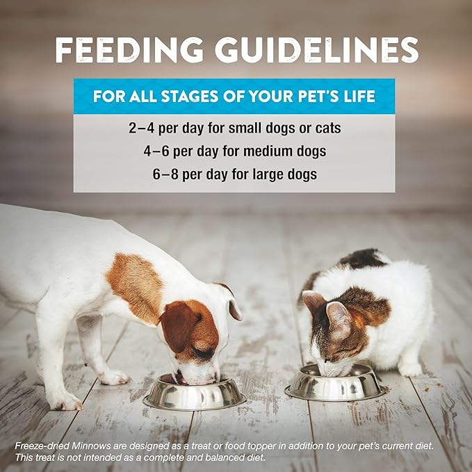 Northwest Naturals Raw Rewards Freeze-Dried Minnow Treats for Dogs and Cats - Bite-Sized Pieces - Healthy, 1 Ingredient, Human Grade Pet Food, All Natural, Proudly Made in USA, 1 Oz (Pack of 3)