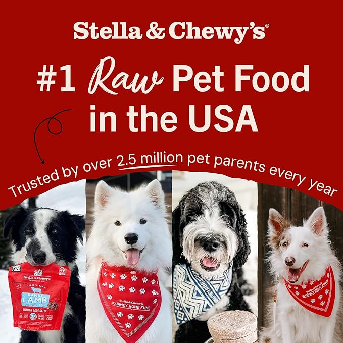 Stella & Chewy's Freeze-Dried Raw Dinner Patties - Chicken Recipe - High Protein Grain-Free Puppy & Dog Food - Perfect For Picky Eaters - 5.5 oz