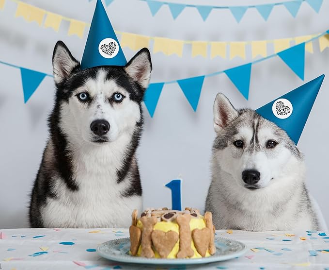 250 Black Paw Print Heart-Shaped Stickers for Animal Causes - Stickers for Pet Lovers, Pet Businesses, Animal Clinics, Labels, Scrapbooks and More!