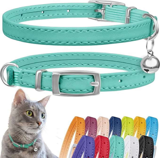 CollarDirect Leather Cat Collar, Cat Safety Collar with Elastic Strap, Kitten Collar for Cat with Bell Black Blue Red Orange Lime Green (Neck Fit 6&quot;-7&quot;, Mint Green)