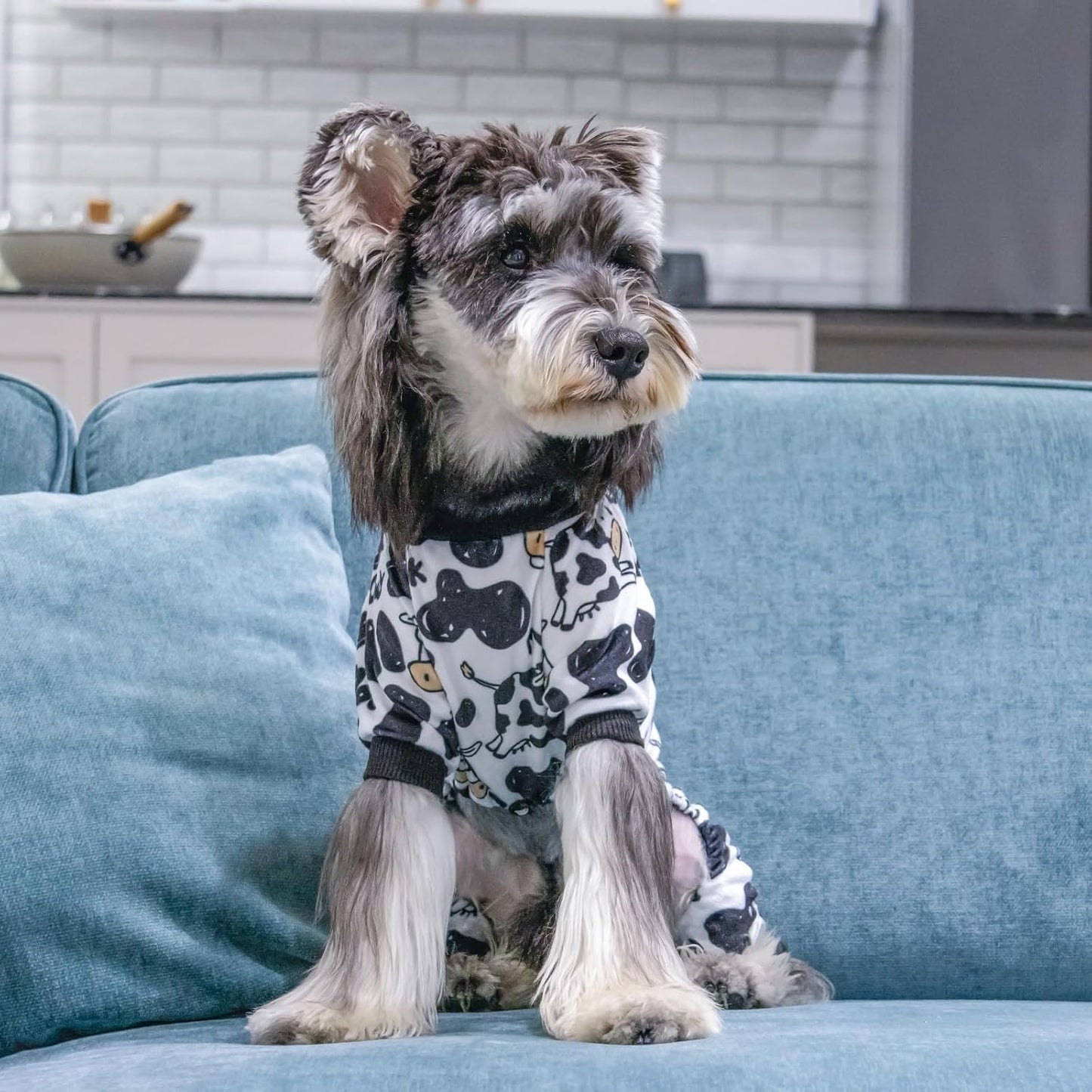 CuteBone Dog Halloween Pajamas Puppy Onesies Small Dogs Soft Pjs Coat Cat Apparel Comfy Pet Christmas Clothes Outfit Doggie Bodysuit P281S (Cow moo, Medium)