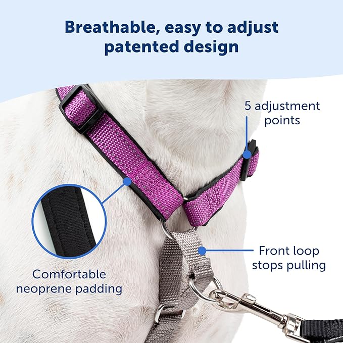PetSafe 3 in 1 Dog Harness - No Pull Solution for Dogs - Reflective Dog Harness - Front D-Ring Clip Helps Stop Pulling - Comfortable Padded Straps - Top Handle Enhances Control - Black - Extra Small