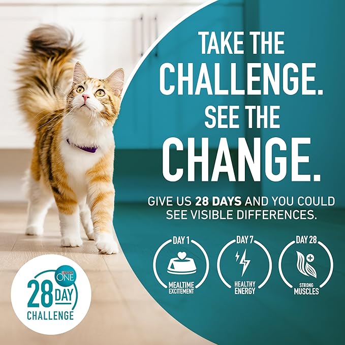 Purina ONE High Protein, Natural Dry Kitten Food, +Plus Healthy Kitten Formula - 3.5 lb. Bag