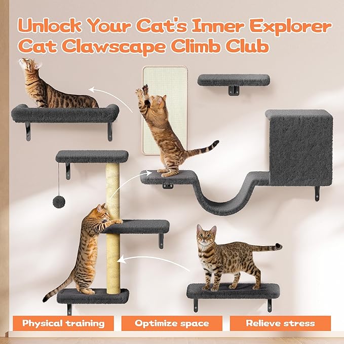 6-in-1 Wall Mounted Cat Climber Set for Heavy Cats,Wall Shelves,Stable & Safe Cat Furniture Set for Large Cats, Wooden Climbing Wall with Scratching Post(Black)