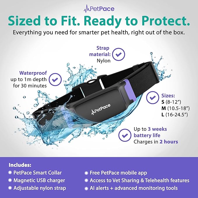 NEW Dog Health Monitor V3.0 by PetPace – AI Smart Collar with 24/7 Vital Signs, Pain & GPS Tracking, Telehealth AskaVet & Share With Your Vet, Smartwatch Sync – Subscription Required (Small)