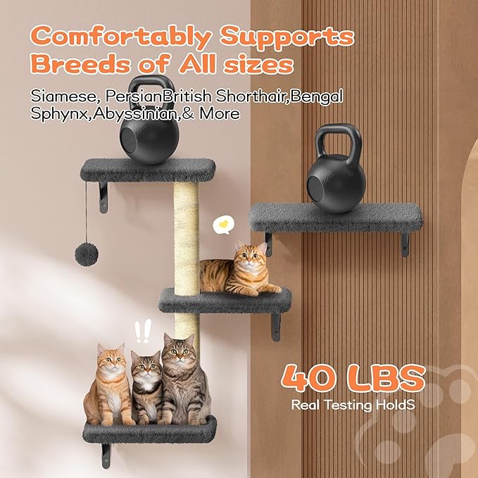 6-in-1 Wall Mounted Cat Climber Set for Heavy Cats,Wall Shelves,Stable & Safe Cat Furniture Set for Large Cats, Wooden Climbing Wall with Scratching Post(Black)