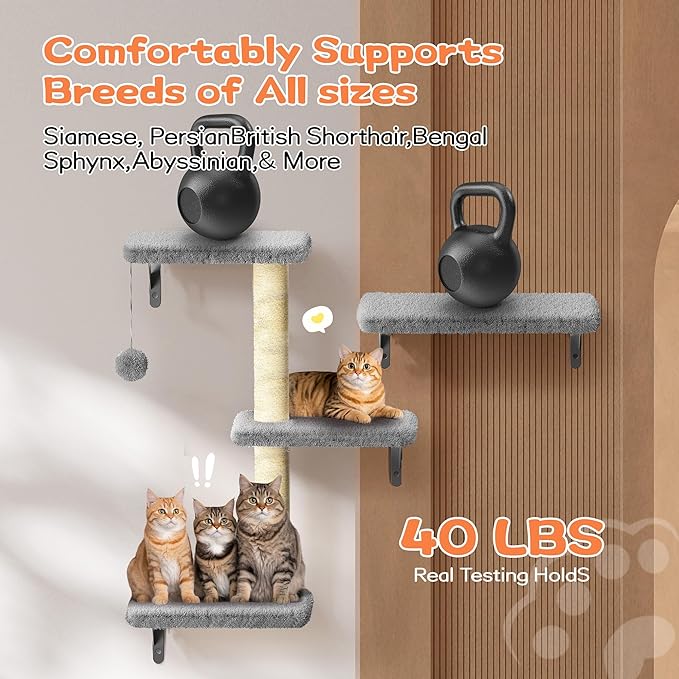 6-in-1 Wall Mounted Cat Climber Set for Heavy Cats，Wall Shelves,Stable & Safe Cat Furniture Set for Large Cats, Wooden Climbing Wall with Scratching Post（ Gray）