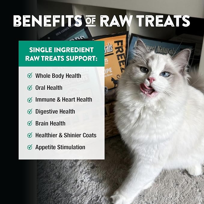 Northwest Naturals Raw Rewards Freeze-Dried Green Lipped Mussel Treats for Dogs and Cats - Bite Sized Pieces - Grain Free - 1 Ingredient - Healthy - Human Grade - All Natural - USA Made - 2 Oz