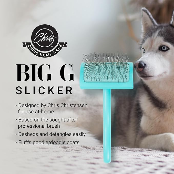 Chris Christensen Big G Dog Slicker Brush for Dogs (Goldendoodles, Labradoodles, Poodles), Groom Like a Professional, Fluff Detangle Style, Saves Time Energy, Teal, Medium