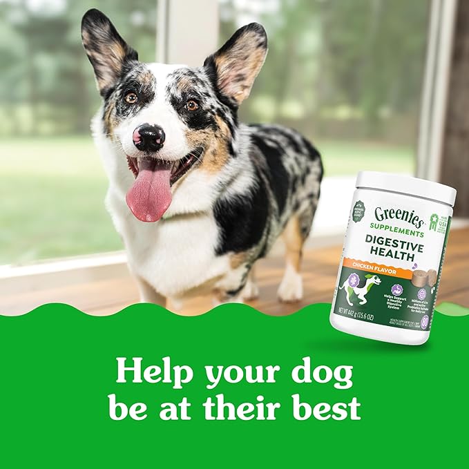 Greenies Supplements Digestive Health Probiotics for Dogs Chicken Flavor, 15.6 oz. Tub of 80 ct.
