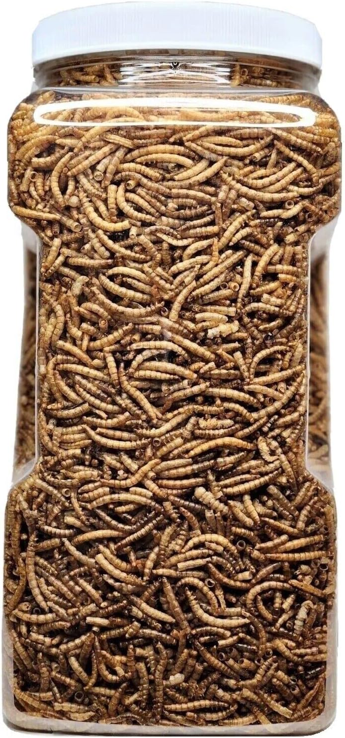 Aquatic Foods Inc. Mealworms- Freeze Dried Mealworms for Tropical Fish, Pond Fish, Reptiles, Turtles, Tortoises, Frogs, Hamsters, Birds, Rodents…10oz Med Jar