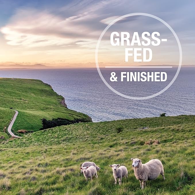 Feline Natural Freeze Dried Cat Treats – New Zealand Single-Source Protein Treats for Cats - Grain-Free Healthy Cat Snacks, Beef Bites, 1.76oz (Pack of 2)