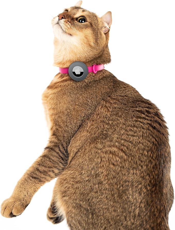 Airtag Breakaway Cat Collar - Soft, Comfortable, and Lightweight Safety Buckle Collar with Air Tag GPS Tracker Holder for Outdoor Cats and Sensitive Skin Kittens by Nuvuq (6 ⅞" to 10 ¼", Pink)
