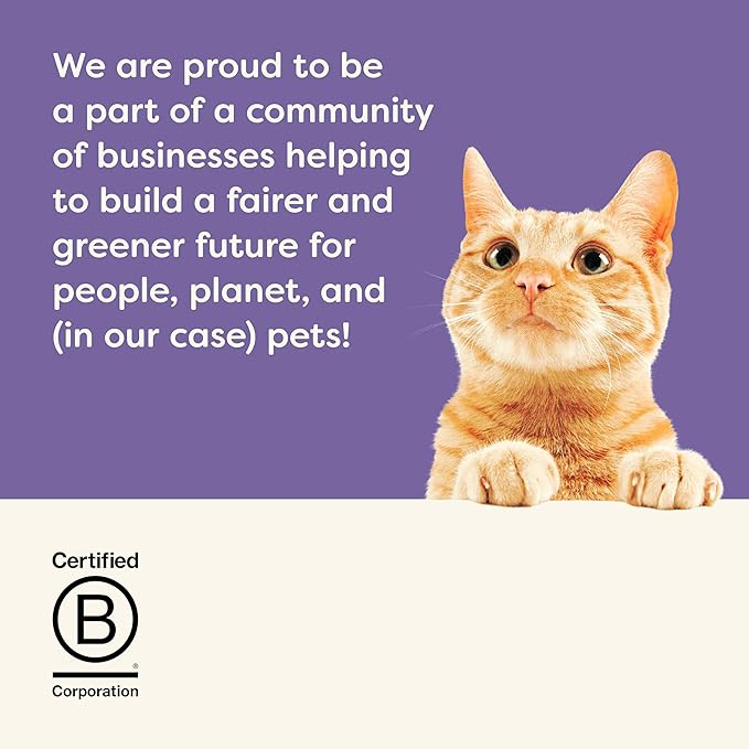 Applaws Lickable Cat Treats, Natural Grain-Free Purée, Made with Limited and Natural Ingredients, No Artificial Additives, Variety of Chicken, Tuna & Salmon Squeeze Up Cat Treats (60 x 0.5 oz Sachets)