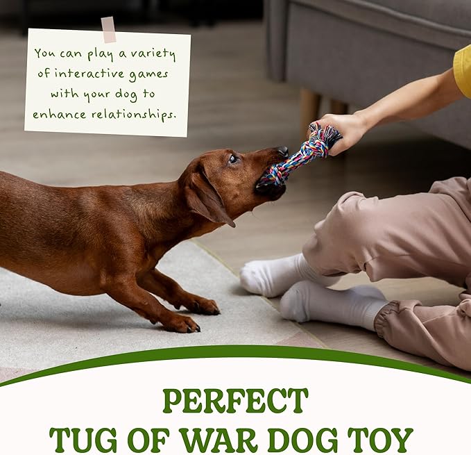 2 Pack Dog Rope Toy for Small Dogs, Puppy Teething Toys, Durable Cotton Puppy Chew Toys for Teething, Small Dog Toys for Aggressive Chewers, Interactive Tug of War Dog Toy for Puppies Boredom