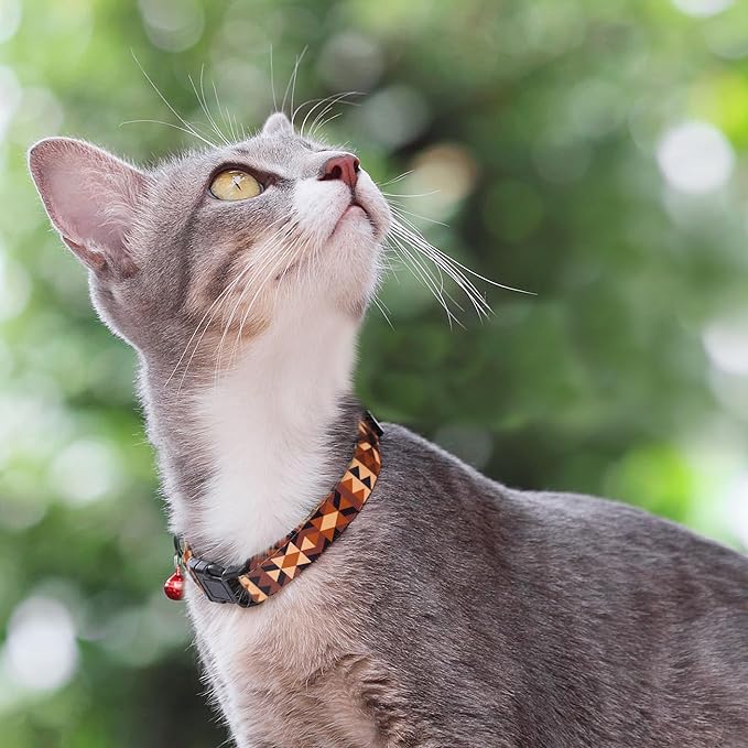 Cat Collars 2 Pack - Soft Cute Breakaway Collar with Bell, Adjustable Safety Kitten Collars for Girl & Boy Cats – Comfortable Stylish Patterned Print Lightweight (Crossandra + Geometric)