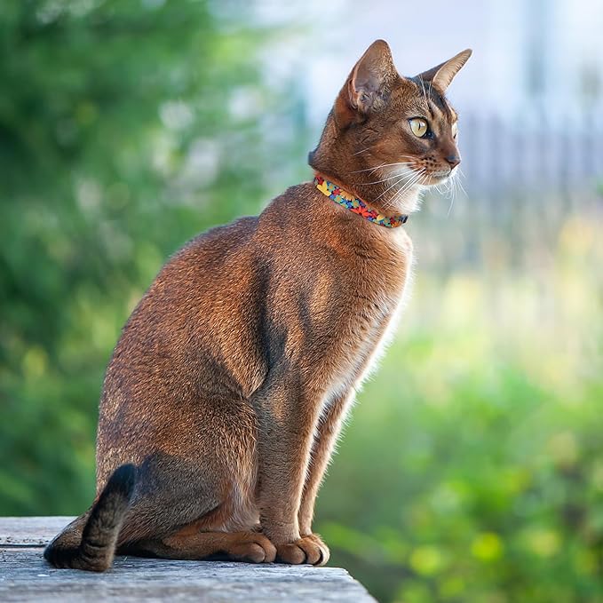 Cat Collars 2 Pack - Soft Cute Breakaway Collar with Bell, Adjustable Safety Kitten Collars for Girl & Boy Cats – Comfortable Stylish Patterned Print Lightweight (Floral + Arrows)