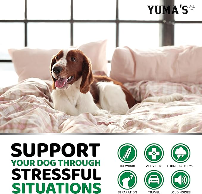 YUMA'S Advanced Calming Chews for Dogs - Hemp Dog Calming Chews - 70 Treats - Anxiety Relief Treats - Hemp Oil - Separation Aid, Stress, Hip and Joint Supplement for Canine Health Support