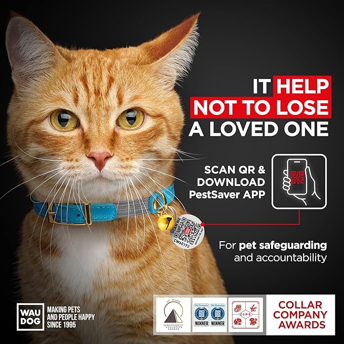 WAUDOG Ultra Soft Rolled Leather Cat Collar with Removable Bell, Safety Elastic Strap and QR ID Tag - Soft Padded for Small, Medium, and Large Cats - Round Kitten Collar for Male and Female Cats