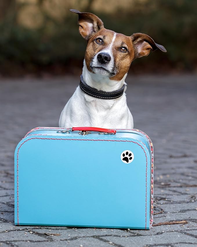 250 Paw Print Awareness Stickers - Fundraise for Animal Rights, Stop Abuse, Perfect for Pet Lovers, Businesses, Clinics, Labels, Scrapbooks