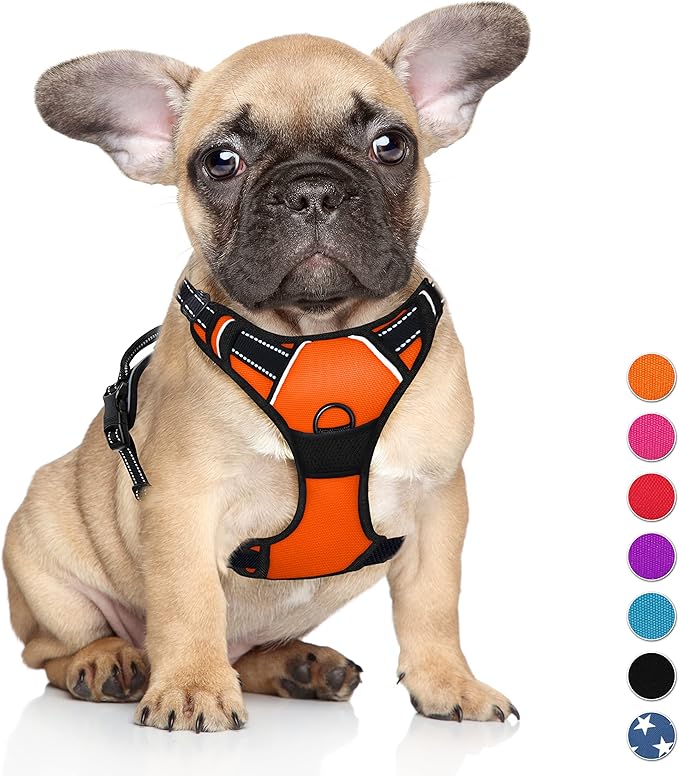BARKBAY No Pull Dog Harness Large Step in Reflective Dog Harness with Front Clip and Easy Control Handle for Walking Training Running(Orange,S)