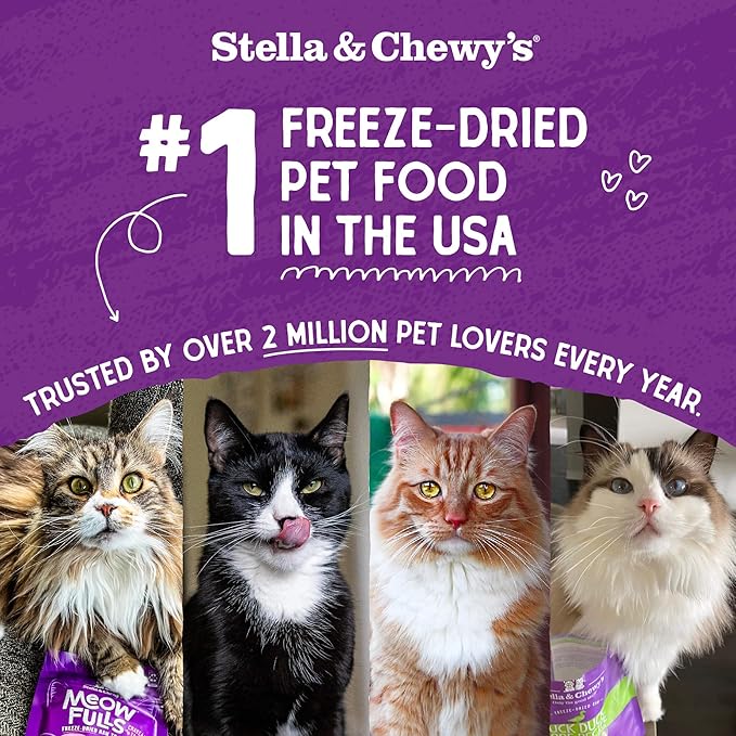 Stella & Chewy's Freeze-Dried Raw Cat Dinner Morsels - Premium Salmon & Chicken Recipe with 98% Wild-Caught & Cage-Free Protein - Natural Grain-Free Cat & Kitten Food - Made in USA - 1 oz