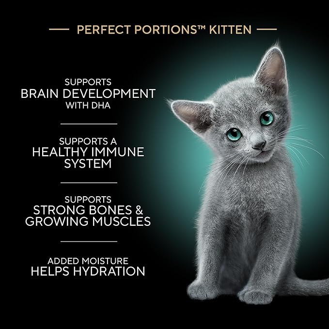 Sheba Perfect Portions Kitten Wet Cat Food Pate Chicken Entree and Salmon Entree, 2.6 oz. Twin-Pack Trays (12 Count, 24 Servings) (Pack of 2)