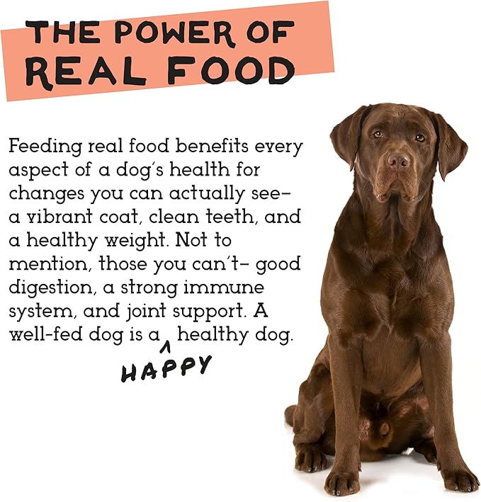 Simple Food Project - Chicken & Turkey - Freeze Dried Raw Food for Dogs - 96oz