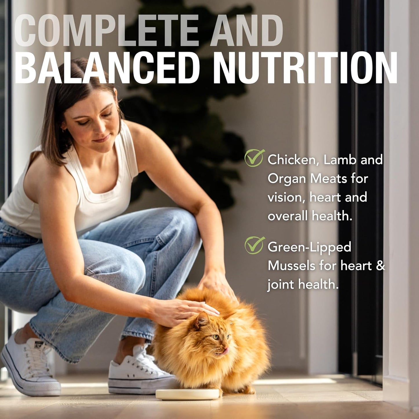 Feline Natural Wet Cat Food Pouch - Chicken & Lamb Feast, Grain-Free, Cage-Free & Grass-Fed, New Zealand Made, Single Serve Pate, 3oz, 12 Pack