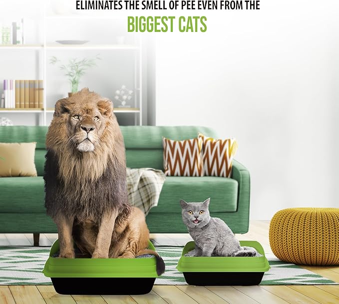 Skoon All Natural Cat Litter (1 Bag) - Fine Grain - Lightweight, Low Tracking, Non-Clumping Diatom Pebbles Absorb, Lock, and Seal Waste for Best Odor Control - Self-Cleaning Box Compatible