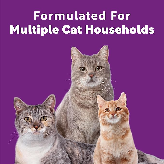 Scoop Away Advanced Multi-Cat Clumping Cat Litter, Meadow Fresh Scent, Pack of 2, 18.5 Pounds (Package May Vary)