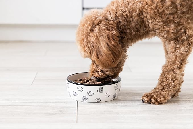 Pearhead Ceramic Dog Faces Dog Bowl, Holds 2 Cups, Stoneware Food and Water Dish for Dogs up to 20 lbs, Microwave and Dishwasher Safe, Small/Medium