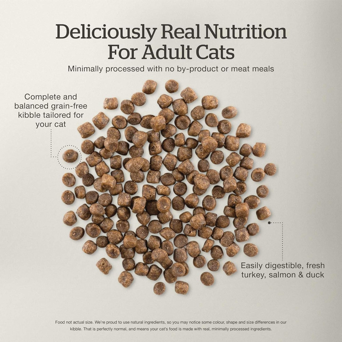 Now Fresh Grain-Free Dry Cat Food with Turkey, Salmon & Duck, Healthy Kibble for Adults Made with Real Meat & Fish, Chicken-Free, with Pumpkin & Probiotics for Sensitive Stomachs, 16 lb Bag