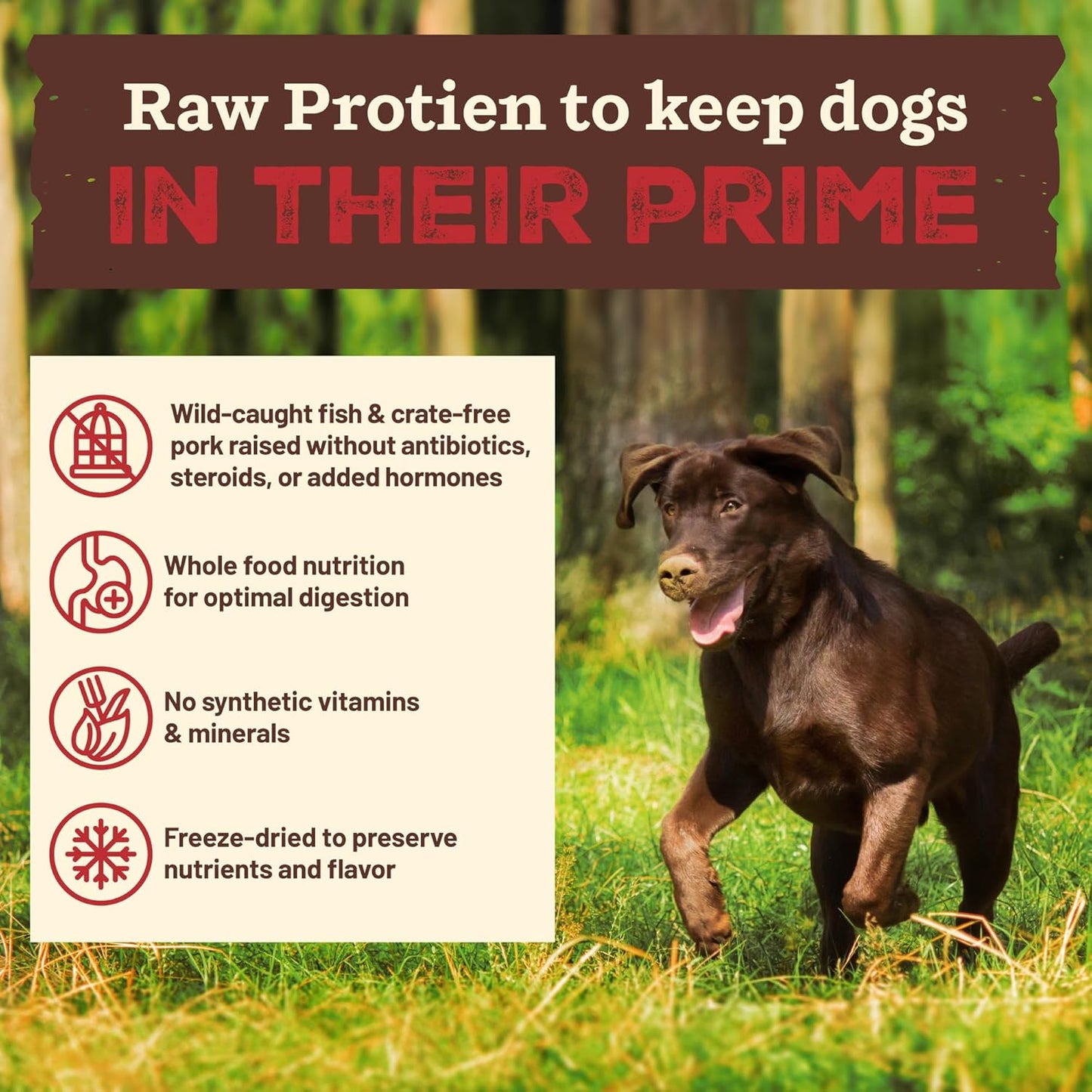 Primal Kibble in The Raw, Freeze Dried Dog Food, Fish & Pork, Scoop & Serve, Made with Raw Protein, Whole Ingredient Nutrition, Crafted in The USA, Dry Dog Food 1.5 lb Bag