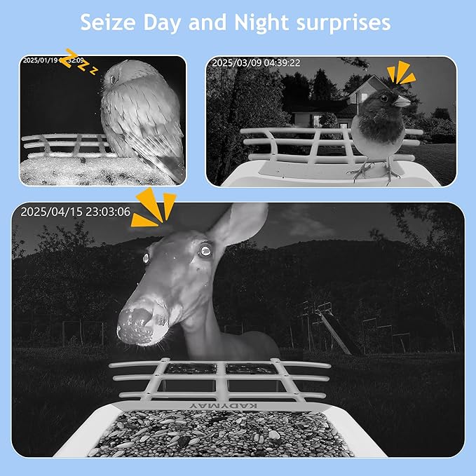 64GB Smart Bird Feeder with Camera Solar Powered, AI Identify 10K+ Bird Aves, 2K 3MP HD Live Video &Playback on Phone, 2.4G WiFi Birdhouse Camera Wireless Outdoor-Watching House (Light Blue)