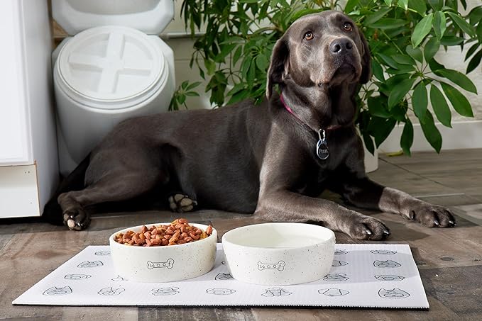 Pearhead Ceramic Woof Dog Bowl, Holds 3 Cups, Stoneware Food and Water Dish, Pet Feeding, Microwave and Dishwasher Safe, Medium