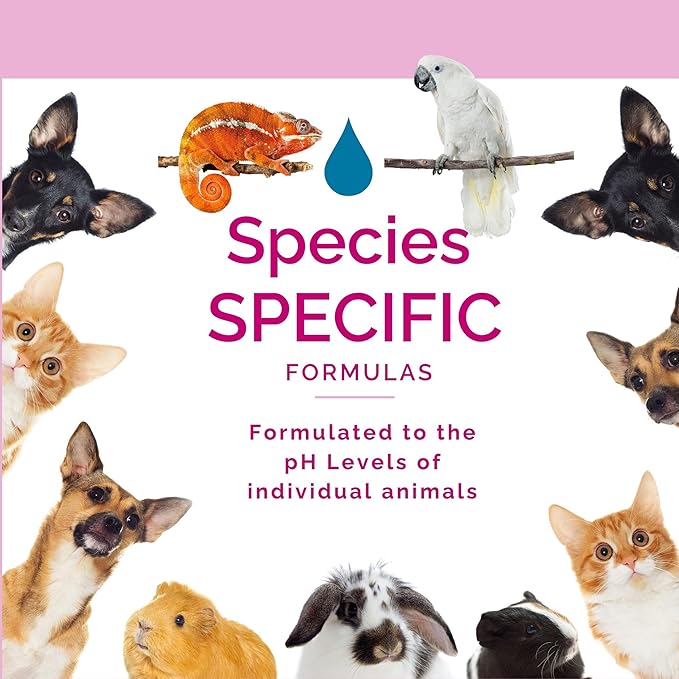 No Scent - Cat Litter Box Cleaner - 2 Fl Oz (59 mL) - Odor & Stain Remover with Probiotic Formula - Freshener for Furniture, Fabric, Hard Surfaces & Car